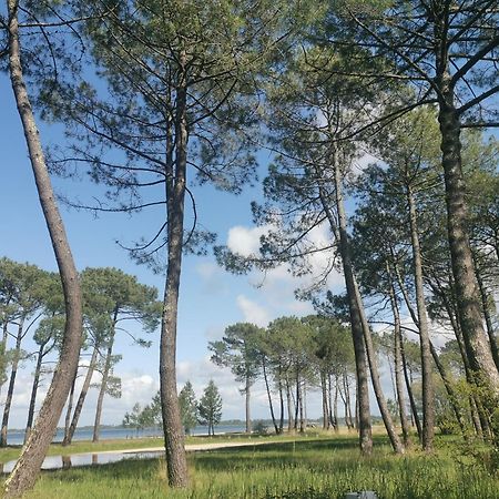 Appartements Au Coeur Du Golf, Proche Du Lac Et Velodyssee Biscarrosse Εξωτερικό φωτογραφία